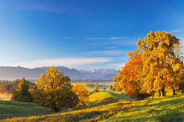 Herbst über Murnauer Moos mit Blick auf Zugspitze von Dieter Meyrl