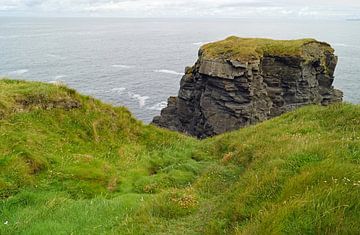 Bishop's Island in Ierland van Babetts Bildergalerie