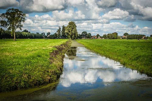 Paysage de polders de Hollande méridionale près de Langerak