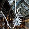 Musée d'histoire naturelle, Oxford sur Nynke Altenburg