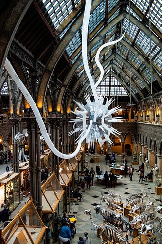 Museum of natural history, Oxford Engeland