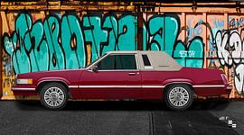 Ford Thunderbird Box Bird en couleur d'origine