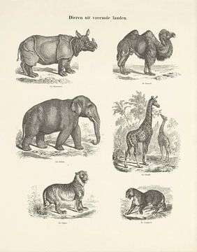 Dieren uit vreemde landen van Ernst Fröhlich, c. 1820 - 1843 (zwart/wit)