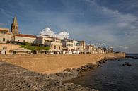 Mauer um das alte Zentrum von Alghero auf Sardinien herum von Joost Adriaanse Miniaturansicht