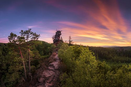 Sfeervolle zonsondergang in het Pfälzerwald