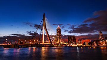 Schöne Skyline von Rotterdam am Abend