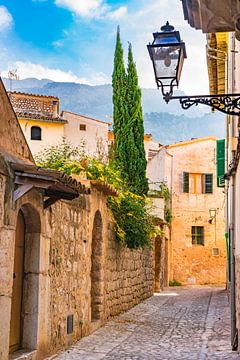 Smal steegje in Soller, oude mediterrane stad in Tramuntana gebergte op Mallorca, Spanje van Alex Winter