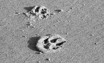 Spuren im Sand von MSP Canvas
