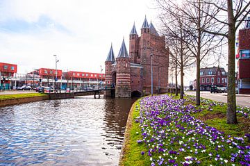 Amsterdamse Poort in Haarlem. von Brian Morgan