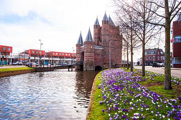 Amsterdamse Poort in Haarlem. by Brian Morgan