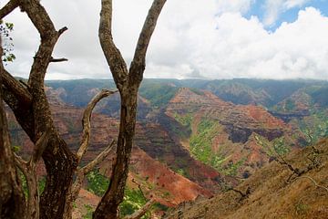 Waimea Canyon, Kauai, Hawaii van Janina Ballali