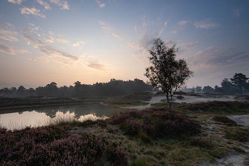 Lever de soleil brumeux Zeist bosmeertje Heidestein