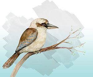 Kookaburra Aquarell