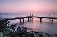 Duiksteiger bij de haven van Ouddorp van Jan van der Vlies thumbnail