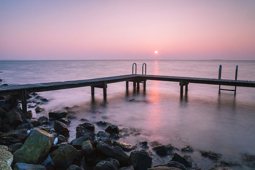 Duiksteiger bij de haven van Ouddorp van Jan van der Vlies