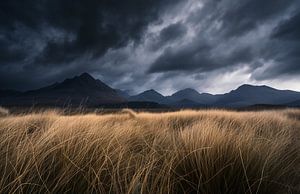 Wilde Landschaft, düstere Himmelsgewalt