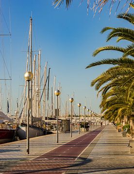 Idyllisch uitzicht op de promenade bij de jachthaven in Palma de Mallorca van Alex Winter