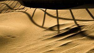 Schatten im Sand