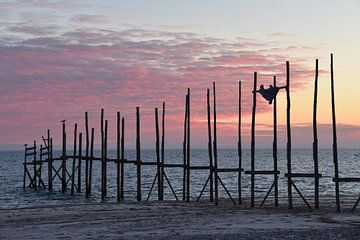 Zonsopkomst op Texel van Kitty Cardoen
