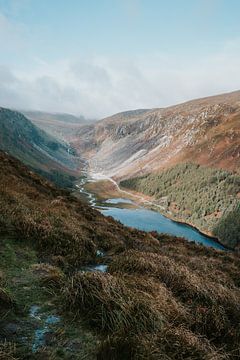 ireland von José Lugtenberg