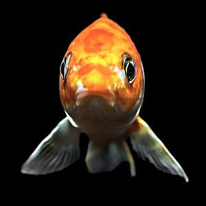 Blub, ich bin ein Fisch