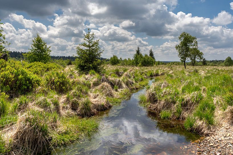 Landscape at Baraque Michel (Belgium) von Maurice Meerten