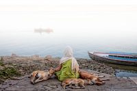 Diese Frau meditierte an den Ufern des Ganges in Varanasi in Indien, wenn einige streunender Hunde z
