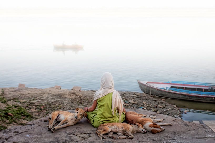 Cette femme méditait sur les rives du Gange à Varanasi en Inde lorsque certains chiens errants étaie par Wout Kok