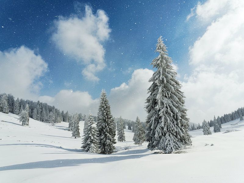 Winter-Vibes von Hello Pompoyo