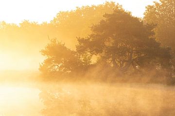 Zonsopkomst Terhorsterzand (Nederland) van Marcel Kerdijk