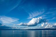 Zeilbootjes onder grote dikke witte wolk van Susan Hol thumbnail