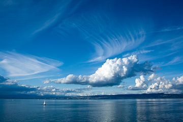 Zeilbootjes onder grote dikke witte wolk van Susan Hol