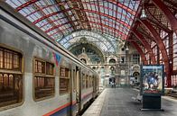 Ein Zug fährt am Hauptbahnhof von Antwerpen. von Don Fonzarelli Miniaturansicht