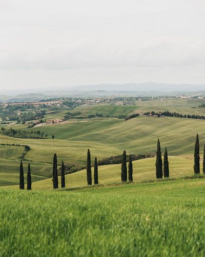 Toscane in de lente, Italië