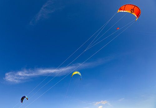 Kites in de lucht