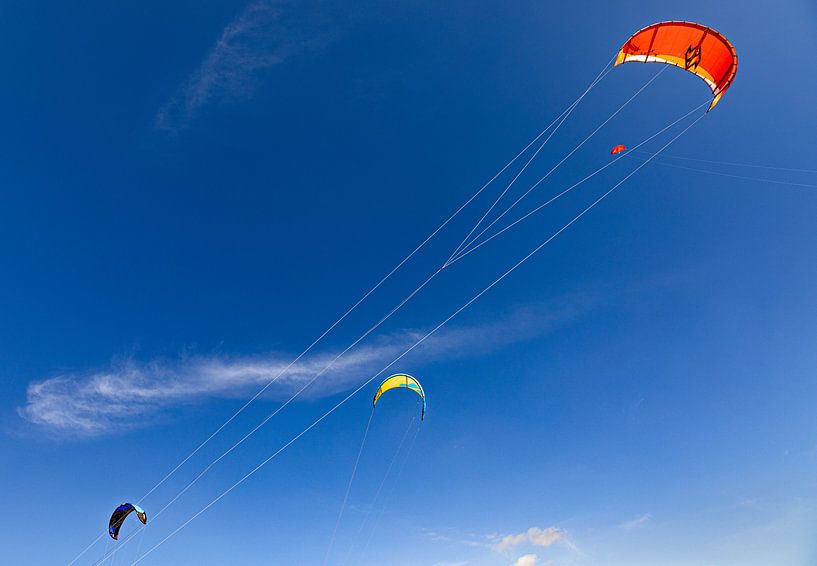 Kites in the air by Percy's fotografie