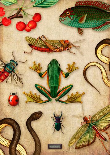 Tropische schoolplaat met reptielen en insecten