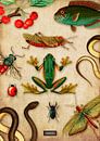 Tableau noir tropical avec reptiles et insectes par Studio POPPY Aperçu