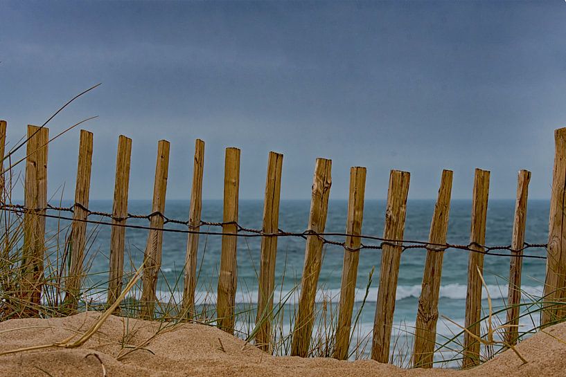 Dunes and beach of Surtainville by Peter Bartelings