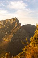 Tafelberg bei Sonnenaufgang vom Löwenkopf aus gesehen