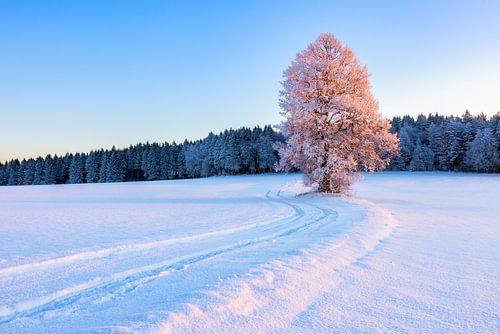Les chemins de la détente XXV sur Daniela Beyer