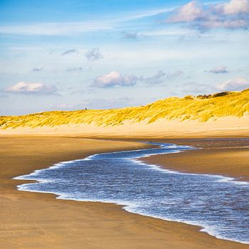 Light and shadow on the beach