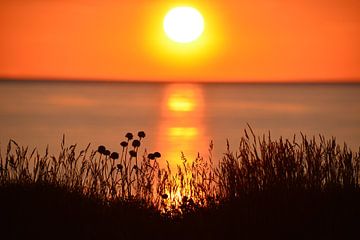 Coucher de soleil sur la côte danoise, ciel orange sur My Footprints