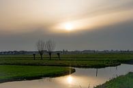 Setting sun in the Alblasserwaard by Consala van  der Griend thumbnail