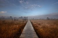 path to infinity