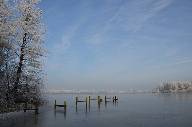 Frozen van Corinna Vollertsen