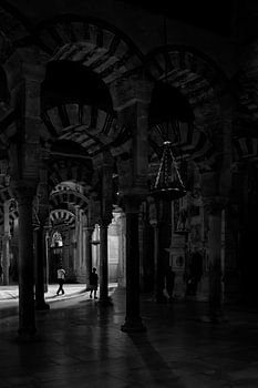 Life amongst the arches