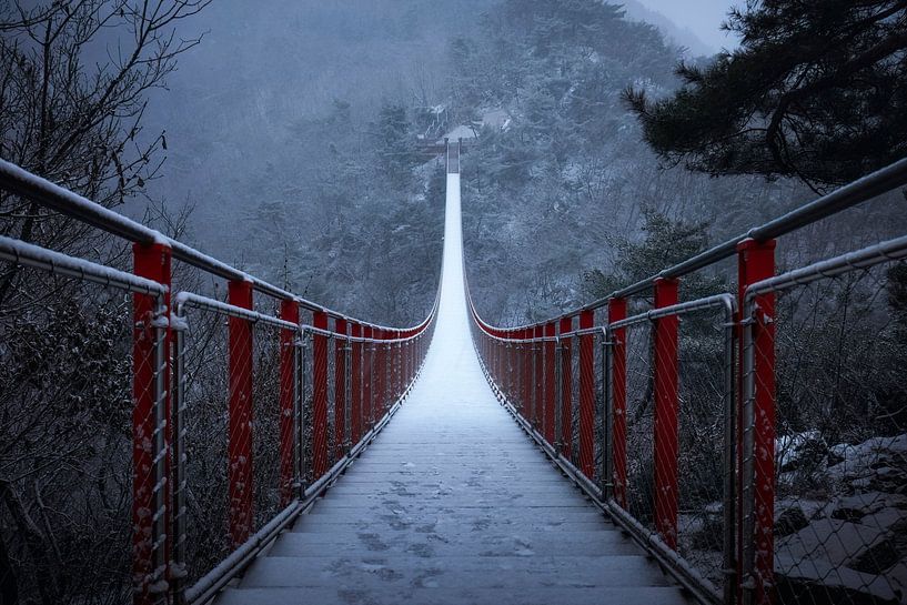Bridge to peak by Tiger Seo