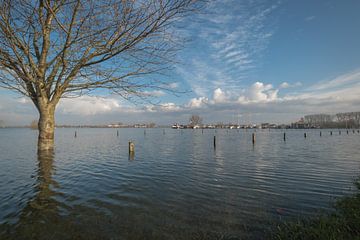 Ebbe und Flut im Hafen von Maurik von Moetwil en van Dijk - Fotografie