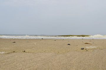 Strand  van Foto van Anno
